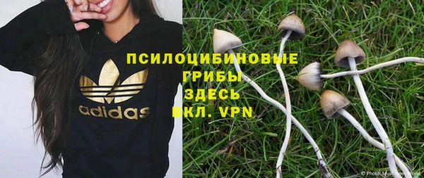 мдпв Россошь