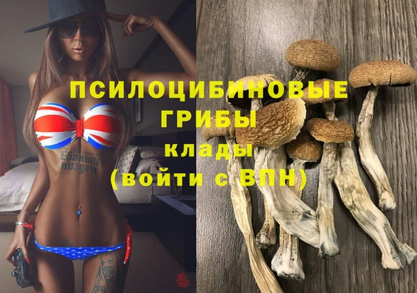 наркотики Богданович