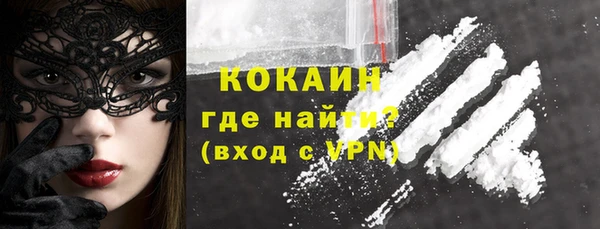 твердый Богородск