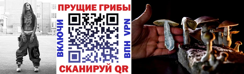 Псилоцибиновые грибы прущие грибы  Нариманов 